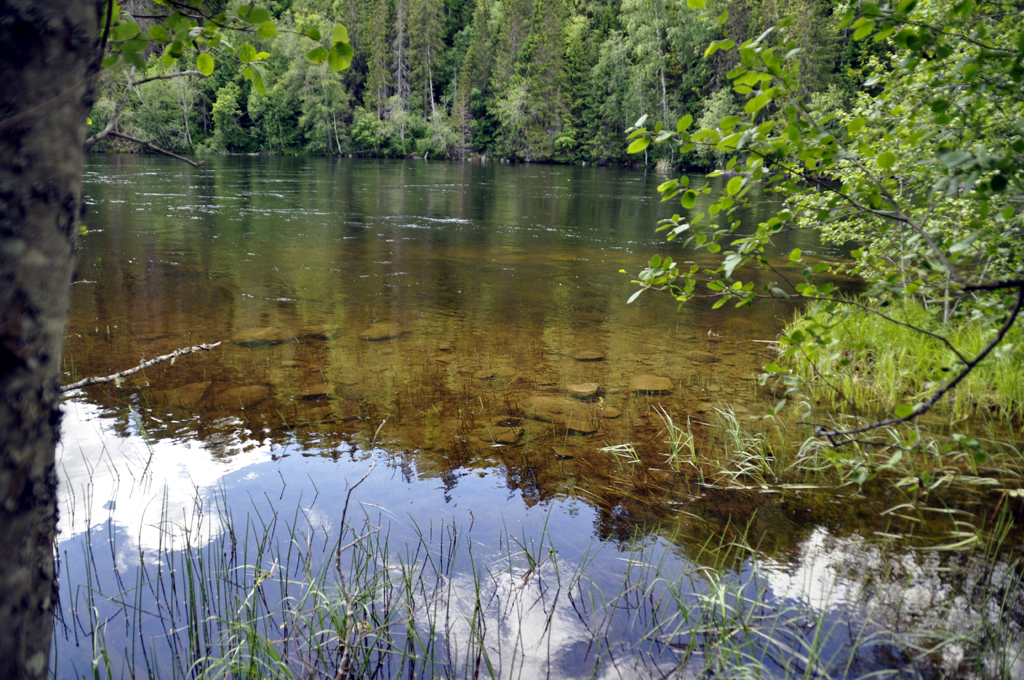 Liv i Västernorrland